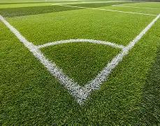 总决赛三巨,头皆未到场,德约科维奇,Bet365直播中心,体育直播,赛事直播,实时数据,体育平台,直播观看